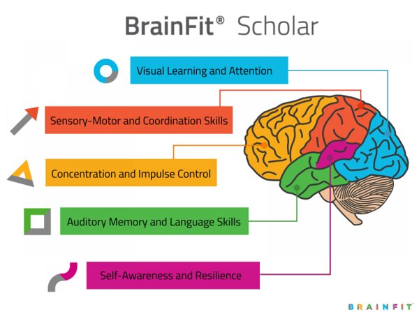 BrainFit Programları