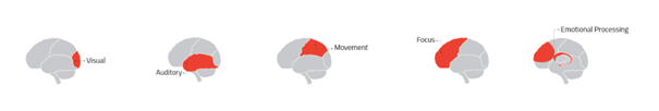 CognitiveMAP değerlendirme